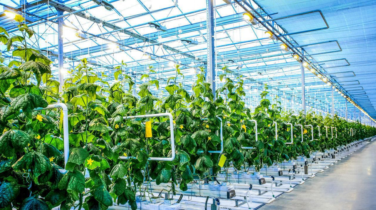 The Coordination of Flowmeters with Quantitative Control Cabinets and Data Loggers in Agricultural Irrigation The Coordination of Flowmeters with Quantitative Control Cabinets and Data Loggers in Agricultural Irrigation