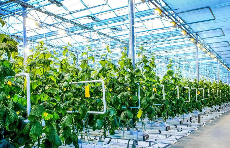 The Coordination of Flowmeters with Quantitative Control Cabinets and Data Loggers in Agricultural Irrigation